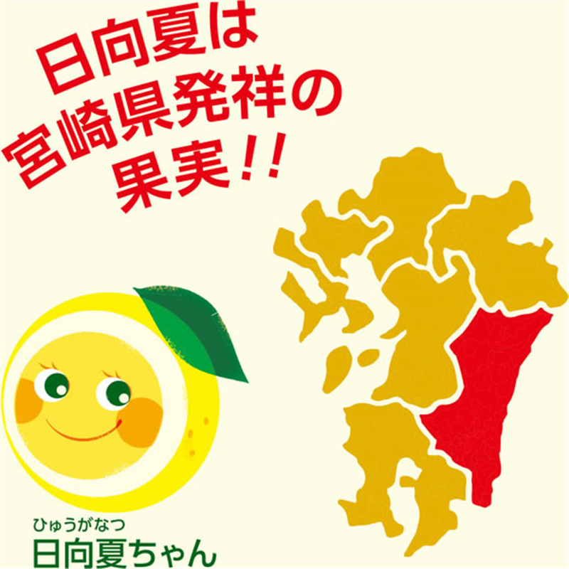 伊藤園 ニッポンエール 宮崎県産日向夏 500mL×24本 1箱※軽(ご注文単位1箱)【直送品】