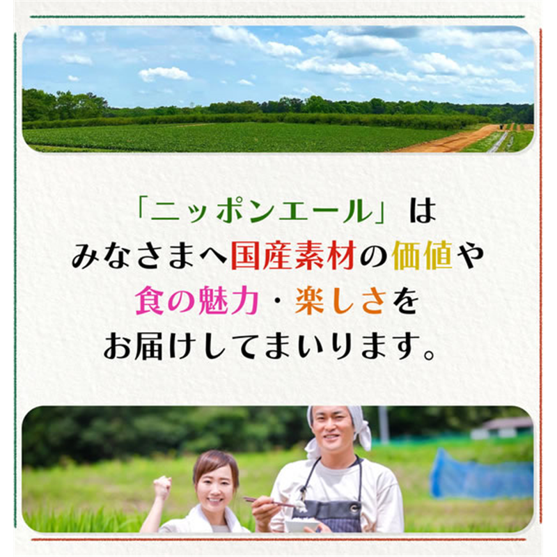 伊藤園 ニッポンエール 宮崎県産日向夏 500mL×24本 1箱※軽(ご注文単位1箱)【直送品】