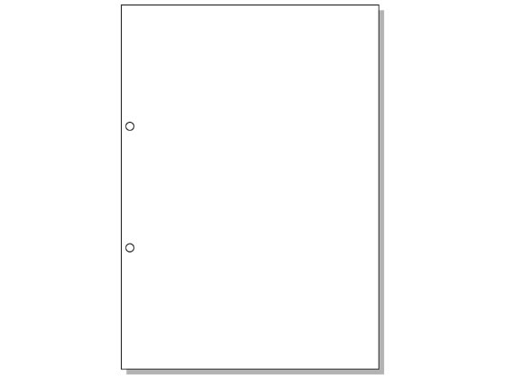 ヒサゴ マルチプリンタ帳票 A4 白紙 2穴 100枚 BP2001 1冊（ご注文単位1冊)【直送品】