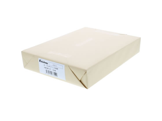 Forestway プリンタ帳票マルチタイプA4 白紙 2面4穴 500枚 1冊(ご注文単位1冊)【直送品】