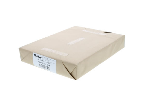 Forestway プリンタ帳票マルチタイプA4 カラー 3面 6穴 500枚 1冊(ご注文単位1冊)【直送品】