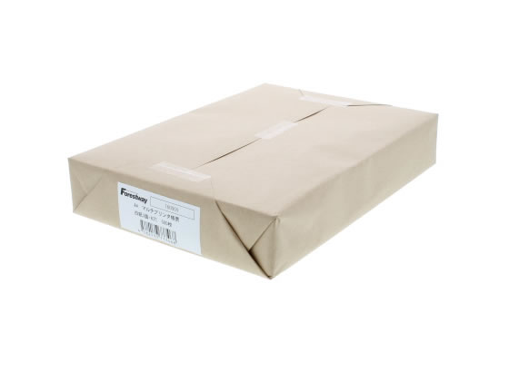 Forestway プリンタ帳票マルチタイプA4 白紙 3面6穴 500枚 1冊(ご注文単位1冊)【直送品】