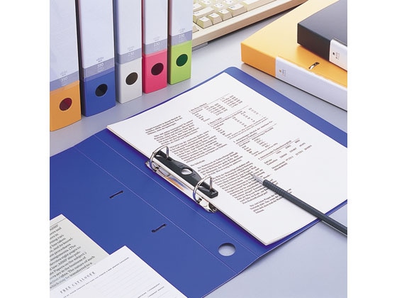 リヒトラブ D型リングファイル A5ヨコ 背幅46mm 青 10冊 G2234-8 1箱（ご注文単位1箱)【直送品】