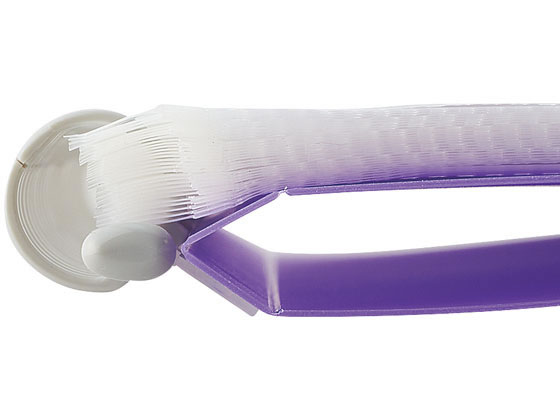 リヒトラブ CUBE FIZZ クリヤーブック(差替) A4 30ポケット ベージュ 1冊（ご注文単位1冊)【直送品】