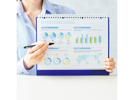 リヒトラブ CUBE FIZZ クリヤーブック(差替) A4 30ポケット ベージュ 1冊（ご注文単位1冊)【直送品】