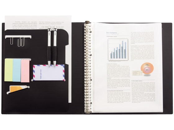 リヒトラブ SMART FIT クリヤーポケットリフィル A4タテ 30穴 10枚 1パック（ご注文単位1パック)【直送品】