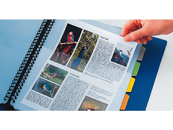 キングジム ハーフポケット厚口 A4タテ 30穴 赤 10枚 108HPアカ 1パック（ご注文単位1パック)【直送品】