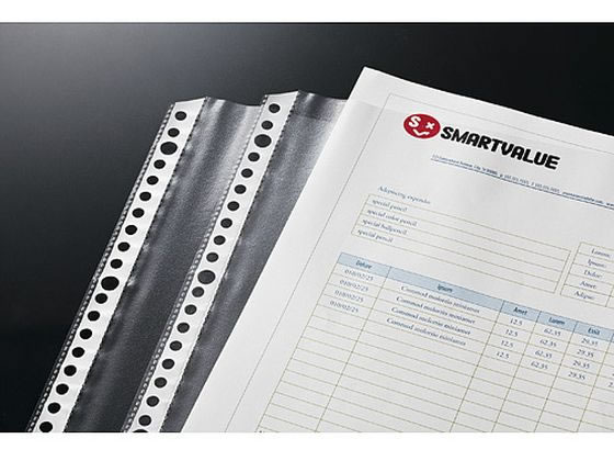 スマートバリュー クリアポケットリフィル30穴2・4穴兼用0.04mm 100枚 1冊(ご注文単位1冊)【直送品】