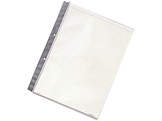 リヒトラブ ルポ・リーンフォース・クリヤーポケット A4タテ 2穴 10枚 グレー 1パック（ご注文単位1パック)【直送品】