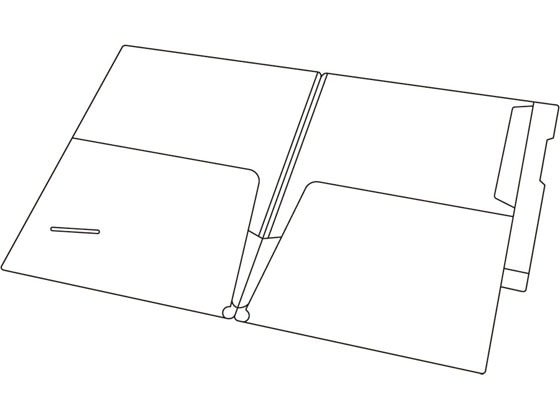リヒトラブ カルテフォルダー フラップ付ダブル縦型A4 100枚 HK2002 1箱(ご注文単位1箱)【直送品】
