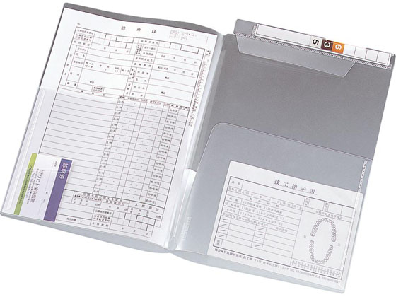 リヒトラブ カルテフォルダー フラップ付ダブル横型A4 100枚 HK2004 1箱(ご注文単位1箱)【直送品】