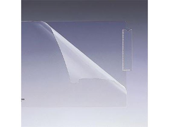 リヒトラブ カルテフォルダー シングルポケット A4 50枚 乳白 HK708 1箱（ご注文単位1箱)【直送品】