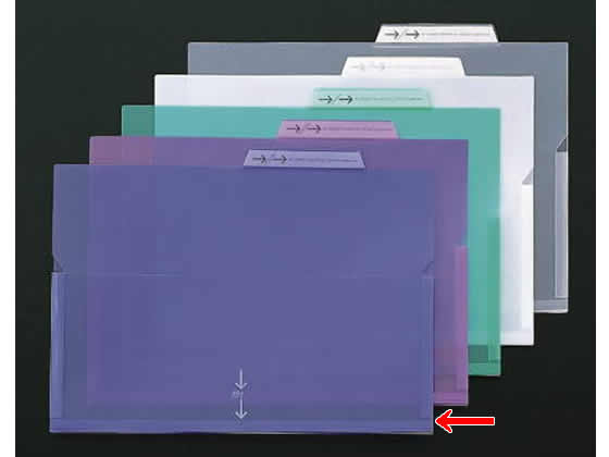 ライオン PPポケットホルダー A4 ブルー 13775 1冊（ご注文単位1冊)【直送品】