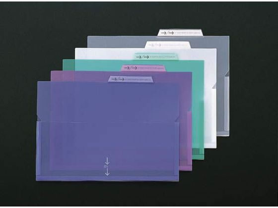 ライオン事務器 PPポケットホルダー A4 グリーン LFS-12PH 137-77 1冊（ご注文単位1冊)【直送品】