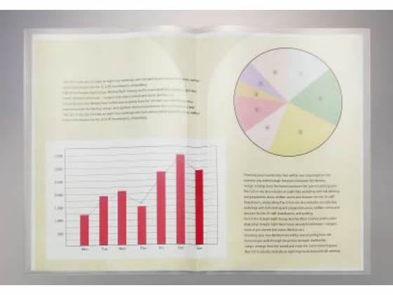 ライオン PPクリヤーホルダー B5(見開きB4) 135-26CF-11 1枚（ご注文