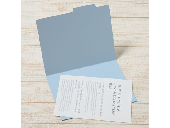 プラス 個別フォルダー A4ヨコ ロイヤルブルー 10枚 87061 1パック(ご注文単位1パック)【直送品】