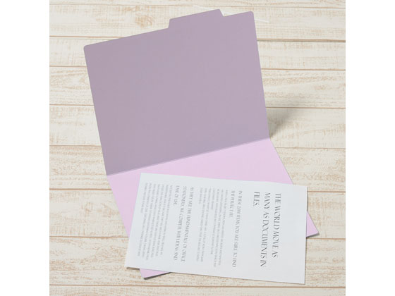 プラス 個別フォルダー A4ヨコ バイオレット 10枚 87062 1パック(ご注文単位1パック)【直送品】