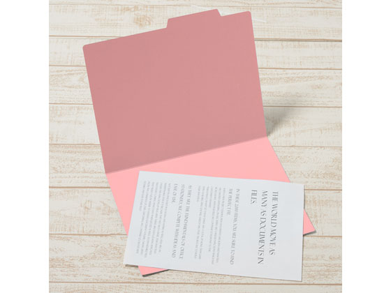 プラス 個別フォルダー A4ヨコ ピンク 10枚 87098 1パック（ご注文単位1パック)【直送品】