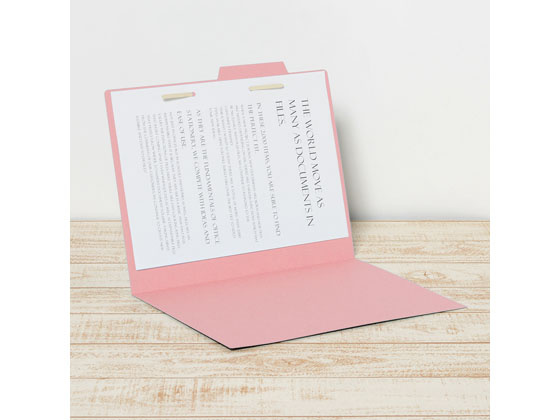 プラス 個別フォルダー A4ヨコ ピンク 10枚 87098 1パック（ご注文単位1パック)【直送品】