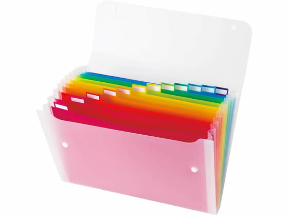 セキセイ アドワン レインボー ドキュメントファィル A4 AD-2212-00 1冊(ご注文単位1冊)【直送品】