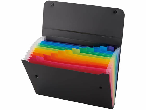 セキセイ アドワン レインボー ドキュメントファィル A4 AD-2212-60 1冊(ご注文単位1冊)【直送品】