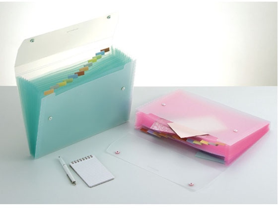 セキセイ ドキュメントファイル A4 13ポケット ホワイト 1冊(ご注文単位1冊)【直送品】