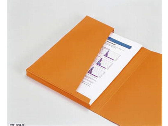 ライオン事務器 カラーファイル A4 緑 NO.800 128-37 1冊(ご注文単位1冊)【直送品】