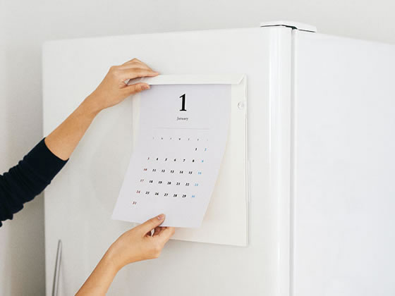 キングジム ハルファイル クリップ(A4変形) KSP5008シロ 1冊(ご注文単位1冊)【直送品】