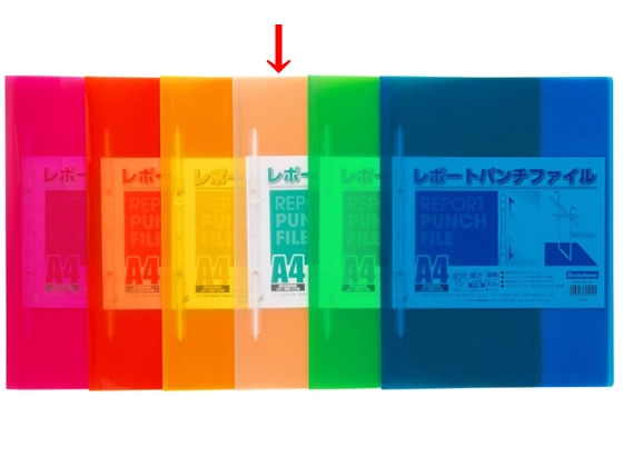 ビュートン レポートパンチファイル A4タテ 100枚収容 クリヤー 1冊（ご注文単位1冊)【直送品】