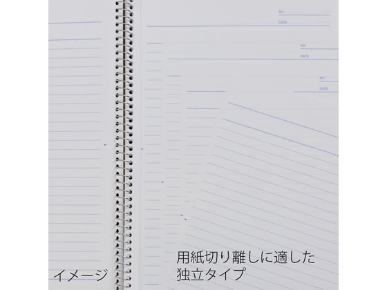 マルマン スパイラルノート A4 方眼罫40枚 N245 1冊（ご注文単位1冊)【直送品】