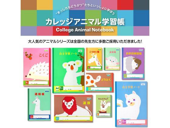 キョクトウ 横開さんすう B5 6マス 中心リーダー入 LP21 1冊(ご注文単位1冊)【直送品】