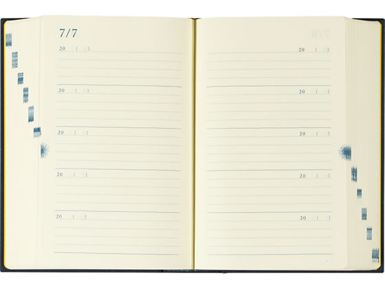 ミドリ(デザインフィル) 日記 10年連用 扉 紺 12397006 1冊（ご注文単位1冊)【直送品】