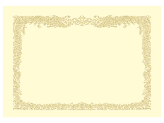 タカ印 OA賞状用紙 クリーム A3判縦書き 10-1087 1冊(ご注文単位1冊)【直送品】