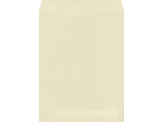 角3カラークラフト封筒シルバー 100枚 K3S-431 1パック（ご注文単位1パック)【直送品】