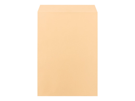 ツバメ工業 クラフト封筒 A3用 100g／㎡ 50枚 K100-KA3-50 1パック（ご注文単位1パック)【直送品】