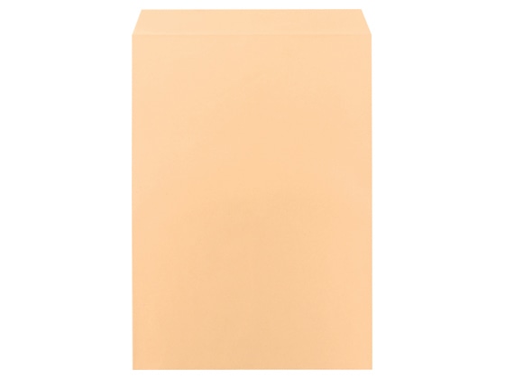 ツバメ工業 クラフト封筒 B3用 100g／㎡ 25枚 K100-KB3-25 1パック（ご注文単位1パック)【直送品】