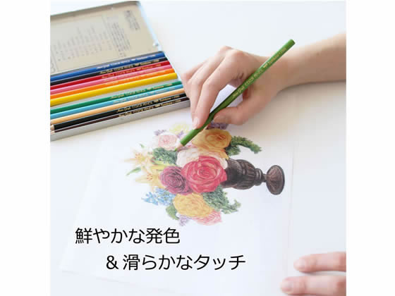 トンボ鉛筆 色鉛筆 12色セット CB-NQ12C 1セット(ご注文単位1セット)【直送品】