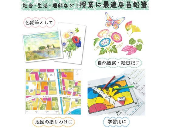 サクラ クーピーペンシル 24色セット(缶入) FY24 1セット(ご注文単位1セット)【直送品】