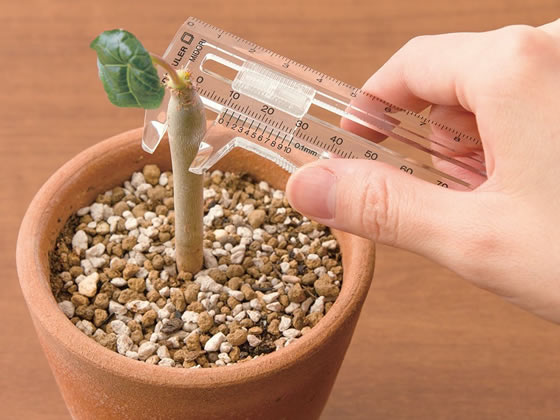 ミドリ(デザインフィル) 厚みを測れる定規 黒 42259006 1本（ご注文単位1本)【直送品】