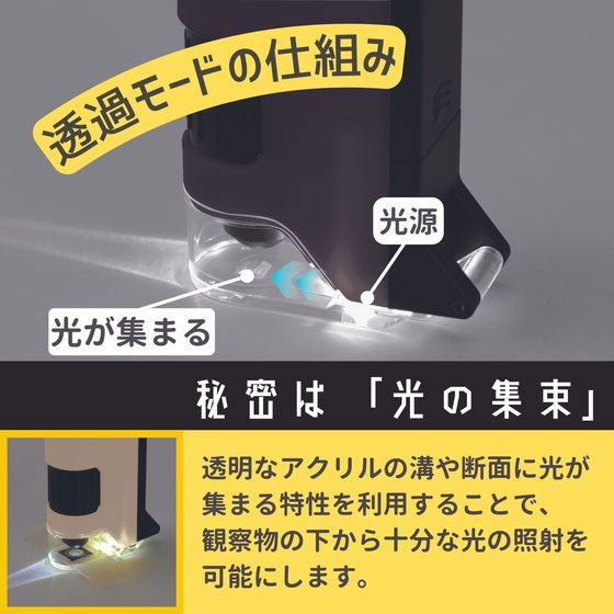 レイメイ藤井 ハンディ 顕微鏡 DX ベージュ RXT1144J 1個（ご注文単位1個)【直送品】