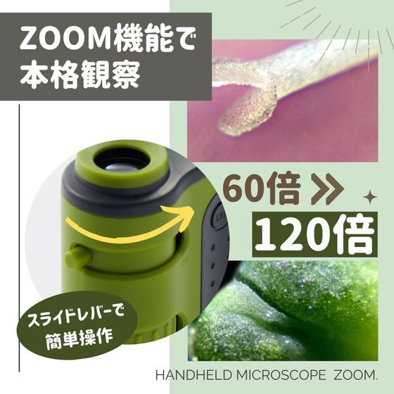 レイメイ藤井 ハンディ 顕微鏡 ZOOM グリーン RXT1143M 1個(ご注文単位1個)【直送品】