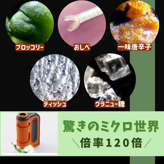 レイメイ藤井 ハンディ 顕微鏡 ZOOM グリーン RXT1143M 1個(ご注文単位1個)【直送品】