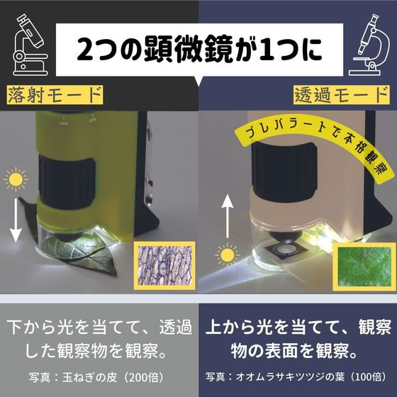 レイメイ藤井 ハンディ 顕微鏡 DX グリーン RXT1144M 1個(ご注文単位1個)【直送品】