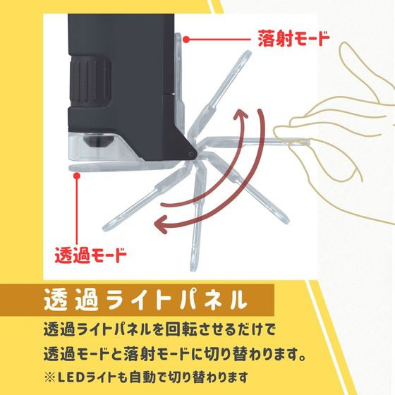 レイメイ藤井 ハンディ 顕微鏡 DX グリーン RXT1144M 1個(ご注文単位1個)【直送品】