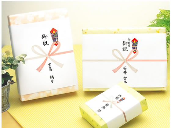 タカ印 のし紙 京印 祝 B5判 100枚×5冊 2-208 1セット（ご注文単位1セット)【直送品】