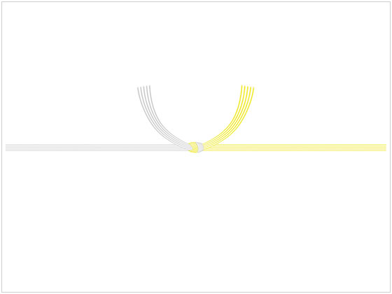 タカ印 のし紙 京印 黄水引 B5 100枚入 2-248 1冊(ご注文単位1冊)【直送品】