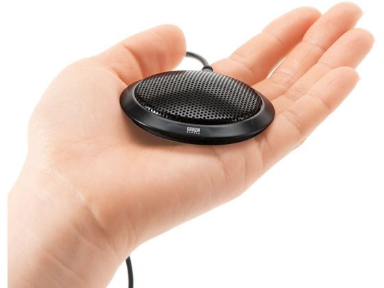 サンワサプライ USBマイクロホン MM-MCU06BKN 1個(ご注文単位1個)【直送品】