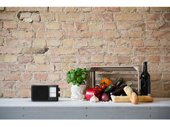 ソニー FM・AMポータブルラジオ ICF-506 1台(ご注文単位1台)【直送品】