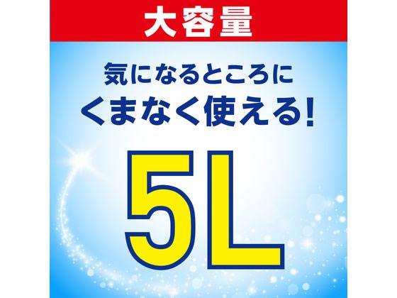 アース製薬 らくハピ アルコール除菌EX つめかえ大容量 5L 1本（ご注文単位1本)【直送品】