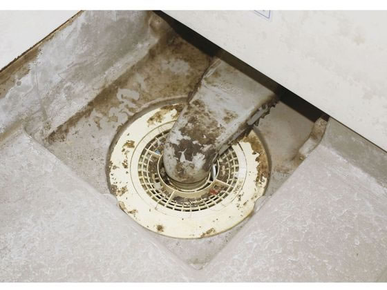 コジット パワーバイオ お風呂の排水口きれい 3個 20161 1箱(ご注文単位1箱)【直送品】